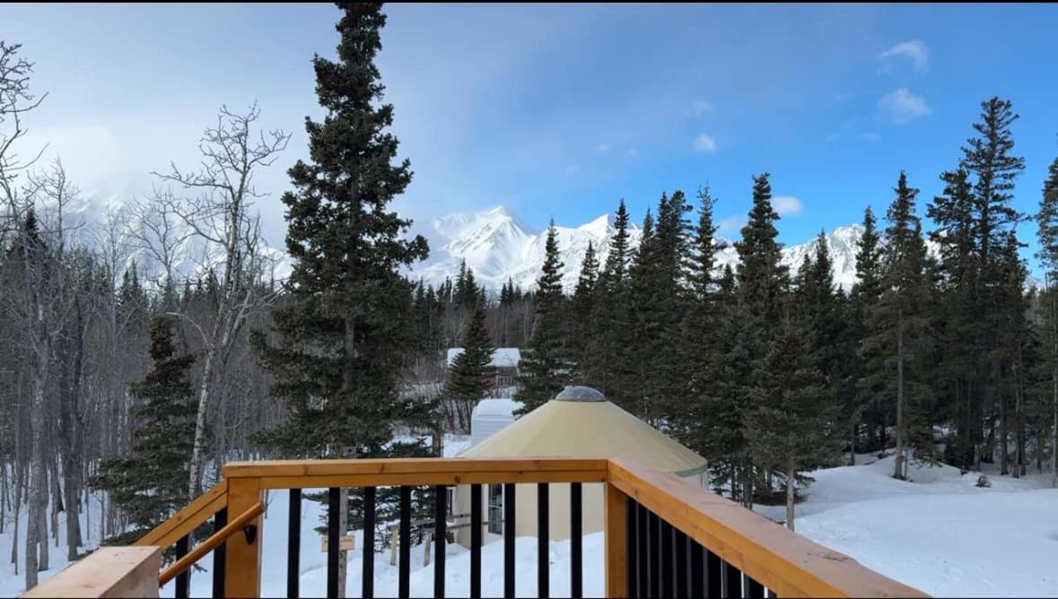 Mount Logan Ecolodge & Retreat Center 헤인즈 정션 외부 사진
